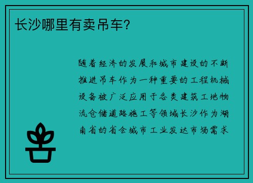 长沙哪里有卖吊车？